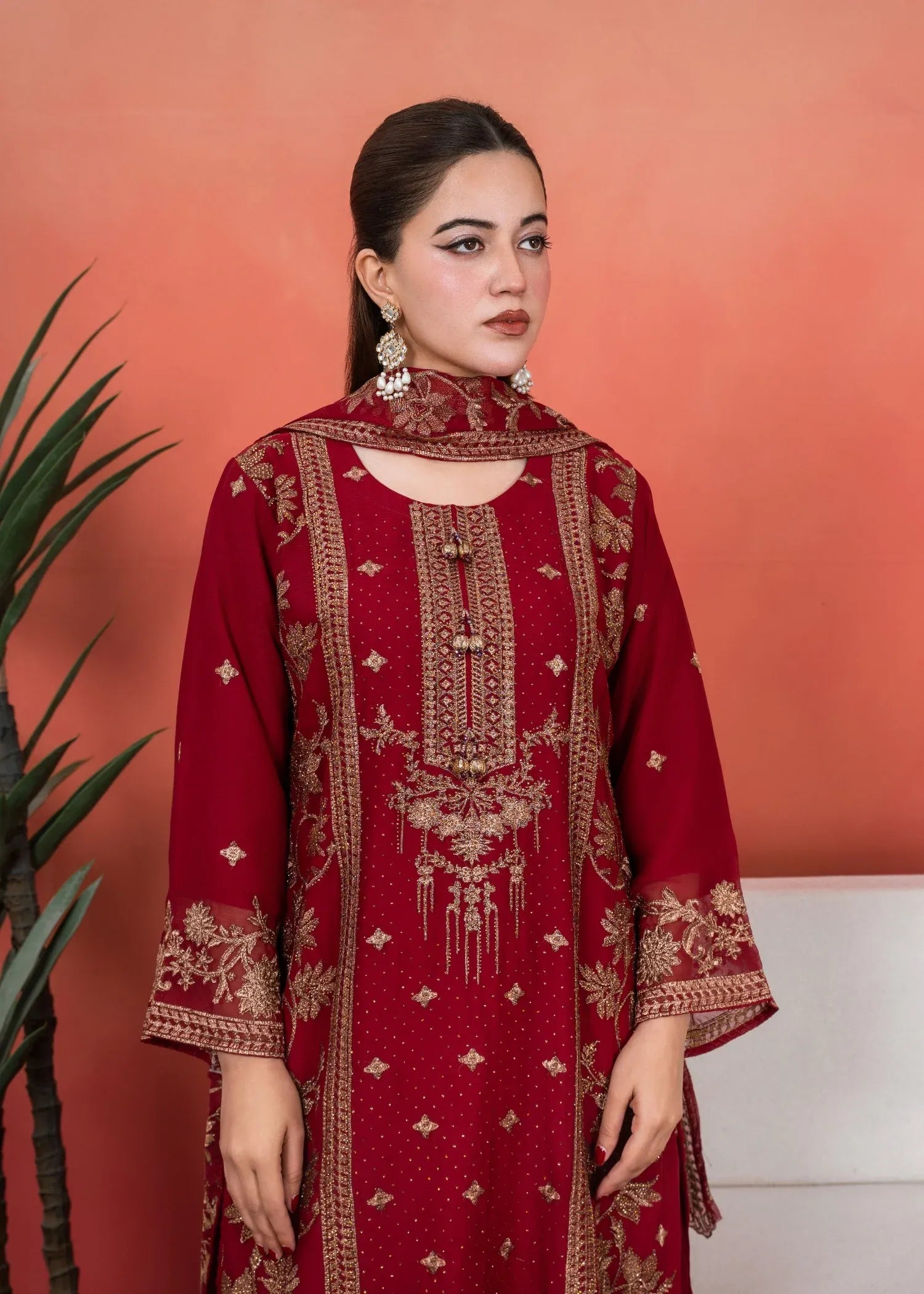 Arzoo Chiffon Marron